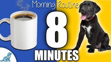 What Does Puppy Training And Your Morning Coffee Have In Common?