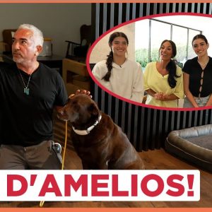 Dog Training Tips with the D'Amelios! (with Cesar Millan!)