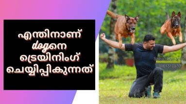 എന്തിനാണ് dogനെ ട്രെയിനിംഗ് ചെയ്യിപ്പികുന്നത് Saajan Saji Cyriac.9961310970