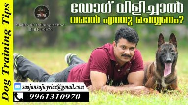 How to Teach Your Dog Come When Calling! Saajan K9 Dog Training School