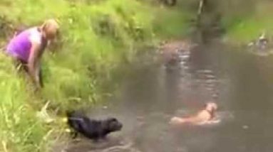 How to Teach Your Dog to Swim: Excellent training! (Case Study)