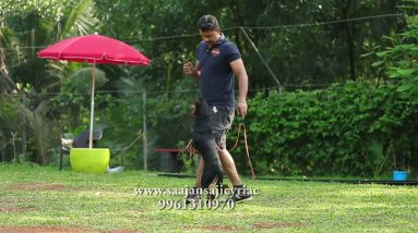 Saajan Saji Cyriac K9 dog training school.9961310970