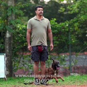 Recall with stand and down.Saajan Saji Cyriac K9 dog training school.9961310970
