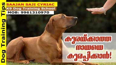 Dog Training Tips: How to Make Your Dogs Bark! Saajan K9 Dog Training School