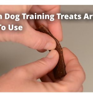 Which Dog Training Treat Is Best?