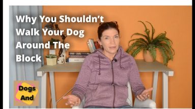 Why You Shouldn't Walk Your Dog Around The Block