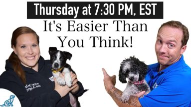 Change Your Puppy Training COMPLETELY With THESE 9 Rules