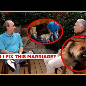 This Dog Is Ruining This Marriage! #Shorts