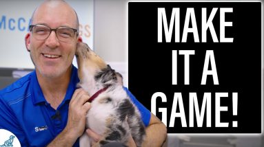 Top 5 Crate Training SECRETS For New Puppy Owners!