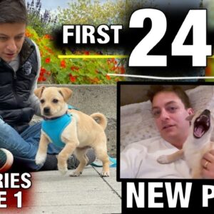 My FIRST 24 HOURS Training a NEW PUPPY! Reality Dog Training