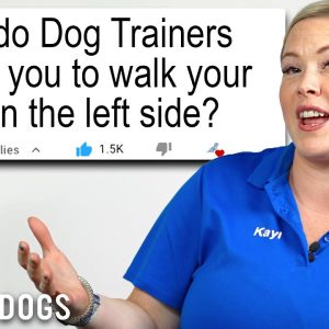 Professional Dog Trainer Answers Common Dog Walking Questions