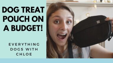 DOG TREAT POUCH - ON A BUDGET