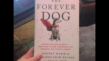 The Forever Dog, The Natural Dog, Natural and Healthy Dog Care, Dog Care Books I Recommend
