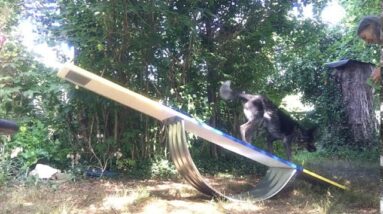 I made a Practice Teeter for Dog Agility!