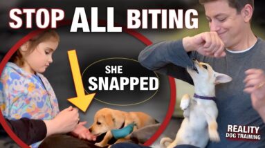 How to STOP All Kinds of Biting Including THIS Kind... Reality Dog Training