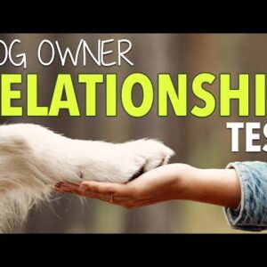Your COMPLETE Dog Training Leadership Assessment