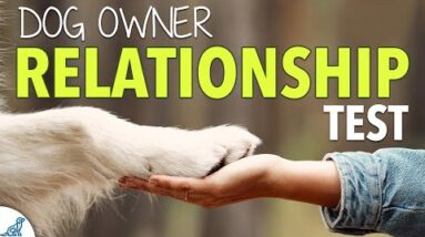 Your COMPLETE Dog Training Leadership Assessment