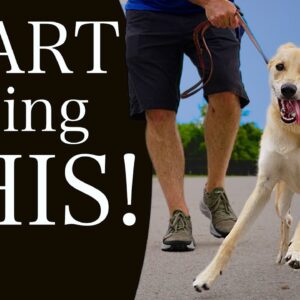 STOP Struggling With Traditional "Leash Walking Training"