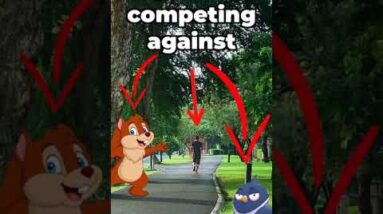 FIX Your Leash Walking Training With 5 Simple Changes