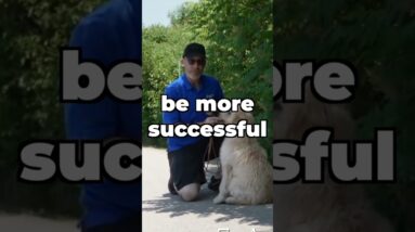 Do LESS Leash Walking Training For BETTER Results