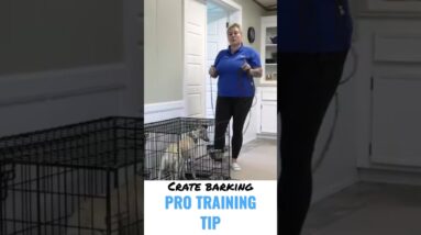 Stop Crate Barking FAST With This SIMPLE Trick!