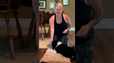 Your Puppy Training "Practice" Formula