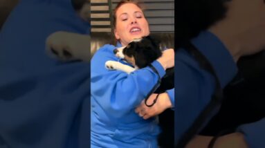 Add THIS To Your Puppy Training At Night!
