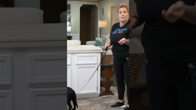 Here's A COMMON Puppy Training Mistake
