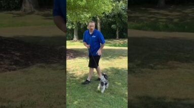 IMPORTANT Puppy Potty Training Tip!