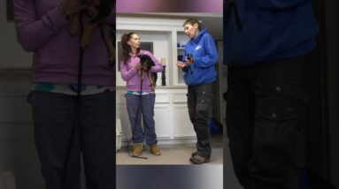 Add THIS To Your Daily Puppy Training Routine