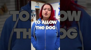 I Wish EVERY Dog Owner Knew THIS!