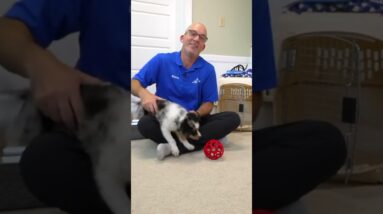 The Most Important Puppy Training TOOL!