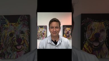 I can’t do this please help #dogtrainer #zakgeorge #colloquially