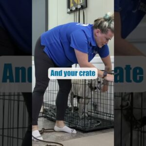 STOP Crate Barking With THIS Tip!