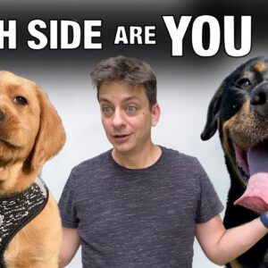 A Dog Trainer’s Perspective: Puppies vs. Adult Dogs