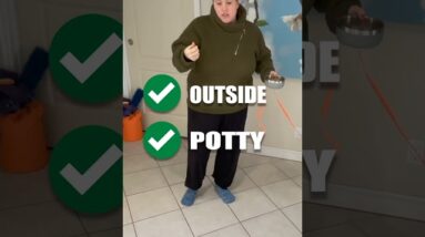 Do THIS With Your Puppy's Breakfast!