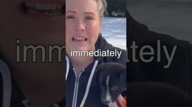 Don't Make THIS Puppy Potty Training MISTAKE