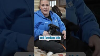 EVERY Puppy Training Plan Should Include THIS!