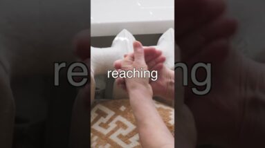 Have You Tried THIS Tool In Your Dog Training?