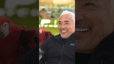 If we take away the word IF ❤️