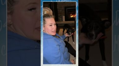 RELAX Your Dog With This SIMPLE Trick