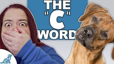 STOP Being Afraid To Use THIS In Puppy Training!