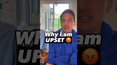 Why I am upset. Do you think this is wrong?  #dogtraining #dogtrainer #puppytraining #dogs