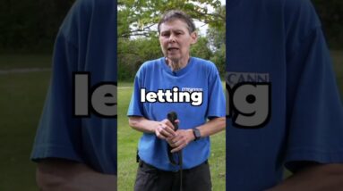 The TRUTH About Socializing Your Dog