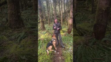 Tip for coming when called