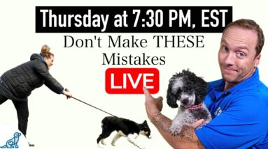 5 COMMON Training Mistakes That New Dog Owners Make!