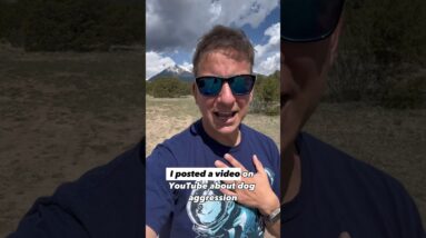 Expecting some pushback on this one… #aggressivedogs #dogtrainer #dogtraining #aggressivedog #zak