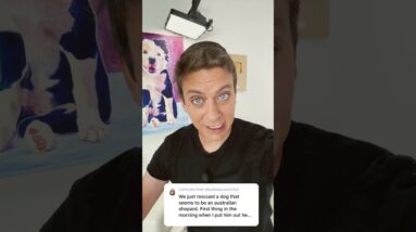 Dog goes crazy first thing ￼