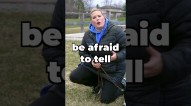 Don't Be Afraid To Say "WAIT!" In Your Training