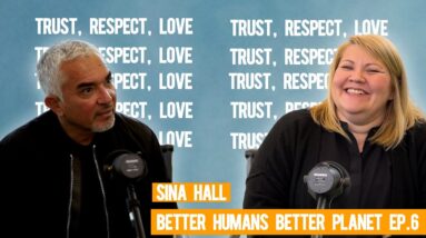 Helping refugees through hard times (feat. my Europe Live Show Promoter, Sina Hall) EP. 6